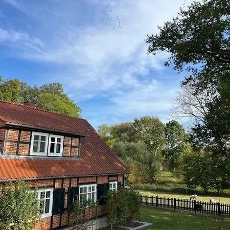 Haus Elbrose Inmitten Von Rosen Mit Elbdeichzugang Holiday home Lenzerwische