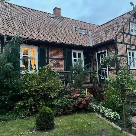Haus Elbrose Inmitten Von Rosen Mit Elbdeichzugang Lenzerwische