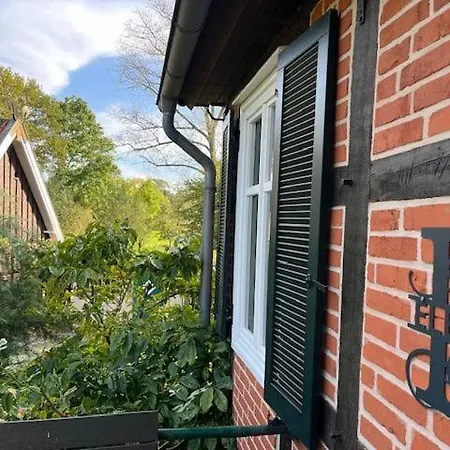 Ferienhaus Haus Elbrose Inmitten Von Rosen Mit Elbdeichzugang