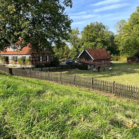 Ferienhaus Haus Elbrose Inmitten Von Rosen Mit Elbdeichzugang