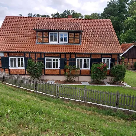 Haus Elbrose Inmitten Von Rosen Mit Elbdeichzugang Holiday home Lenzerwische