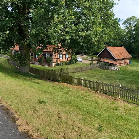 Haus Elbrose Inmitten Von Rosen Mit Elbdeichzugang * Lenzerwische