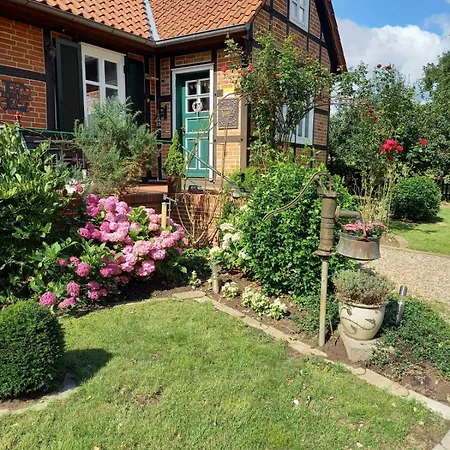 Ferienhaus Haus Elbrose Inmitten Von Rosen Mit Elbdeichzugang *