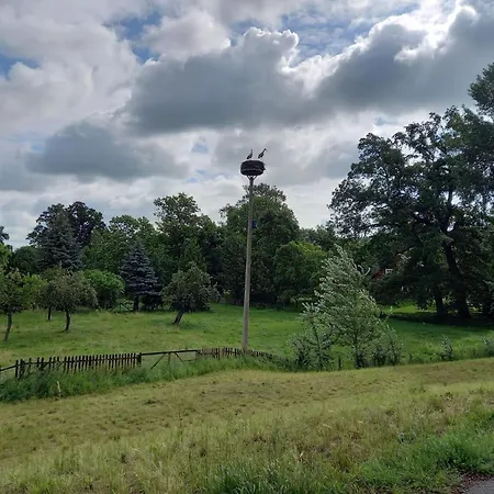 Haus Elbrose Inmitten Von Rosen Mit Elbdeichzugang *
