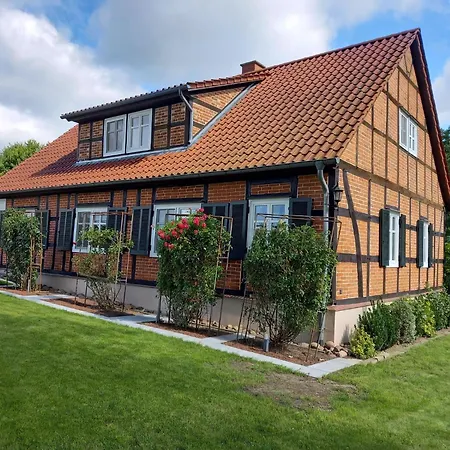 Haus Elbrose Inmitten Von Rosen Mit Elbdeichzugang