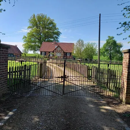 Holiday home Haus Elbrose Inmitten Von Rosen Mit Elbdeichzugang